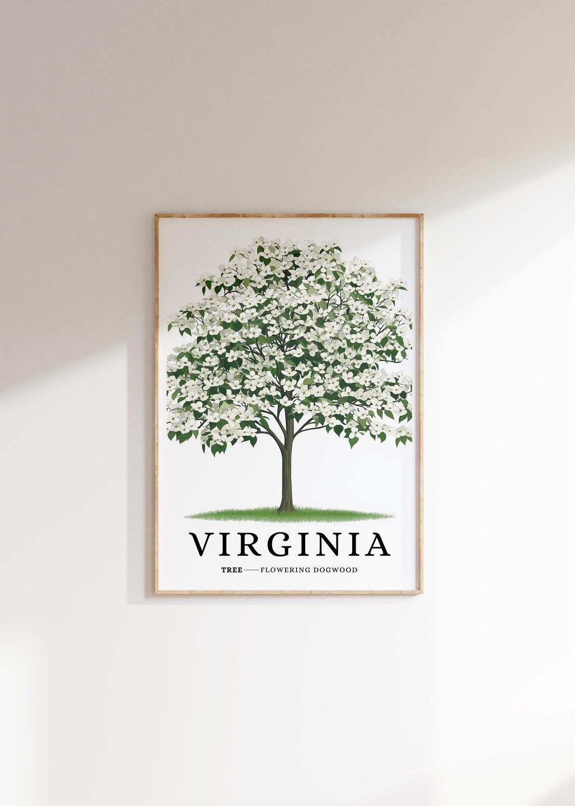 Virginia Flowering Dogwood Blossom Botanical Southern State Poster