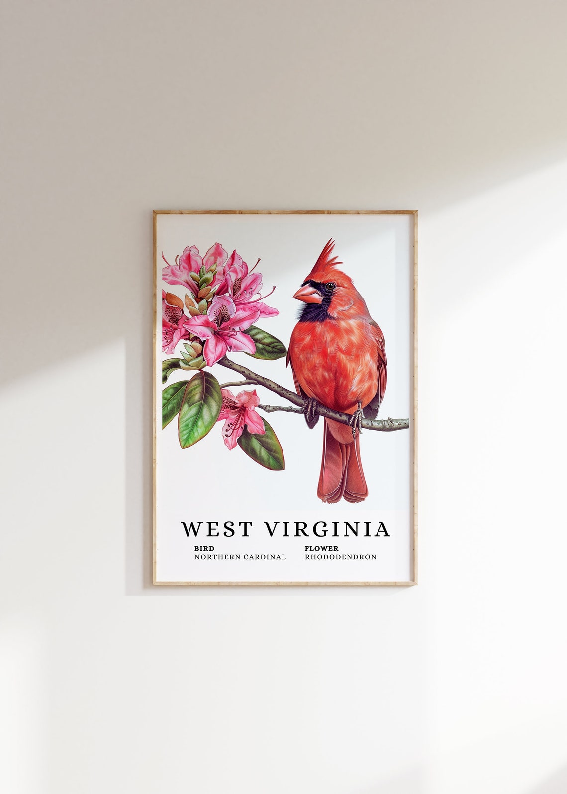 West Virginia Northern Cardinal And Rhododendron Botanical Art Print