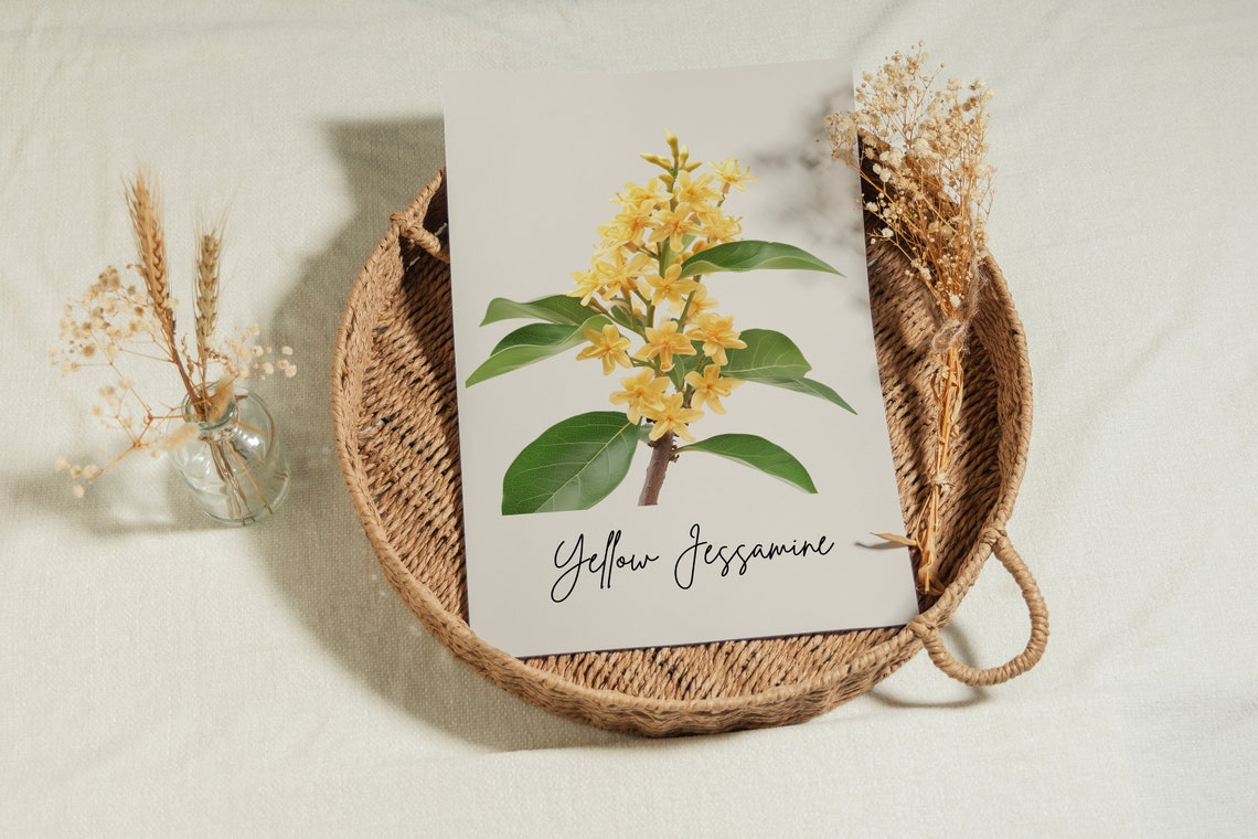 Yellow Jessamine Minimalist Botanical Line Art Wall Art Print - Image 3