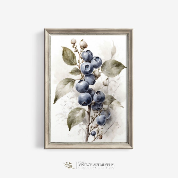 Vintage Style Blueberries Branch Watercolor Art Print Light Academia Decor Cottagecore Country Farmhouse Wall Art 572