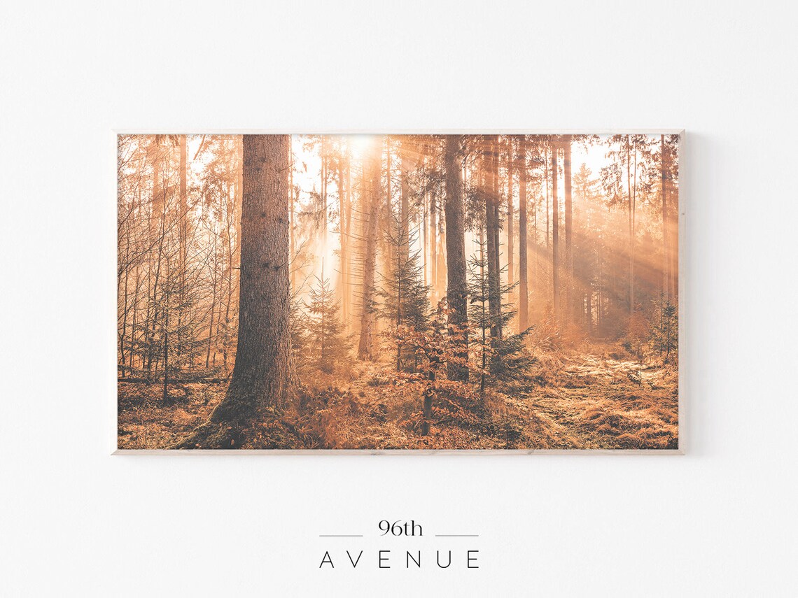Autumn Forest Foliage Art Print, Fall Photography