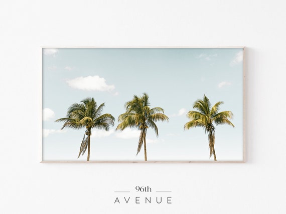 Frame Tv Art Palm Trees Tv Art Frame Art Tv Palms Art Tv Art Frame Art For Tv Palm Trees Photography Tv Art