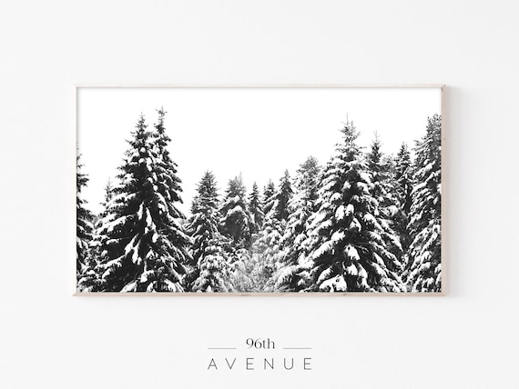 Winter Snowy Pine Trees Holiday Art Print