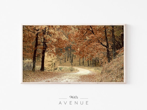 Winding Autumn Road Through Golden Woods Scenic Fall Foliage Poster
