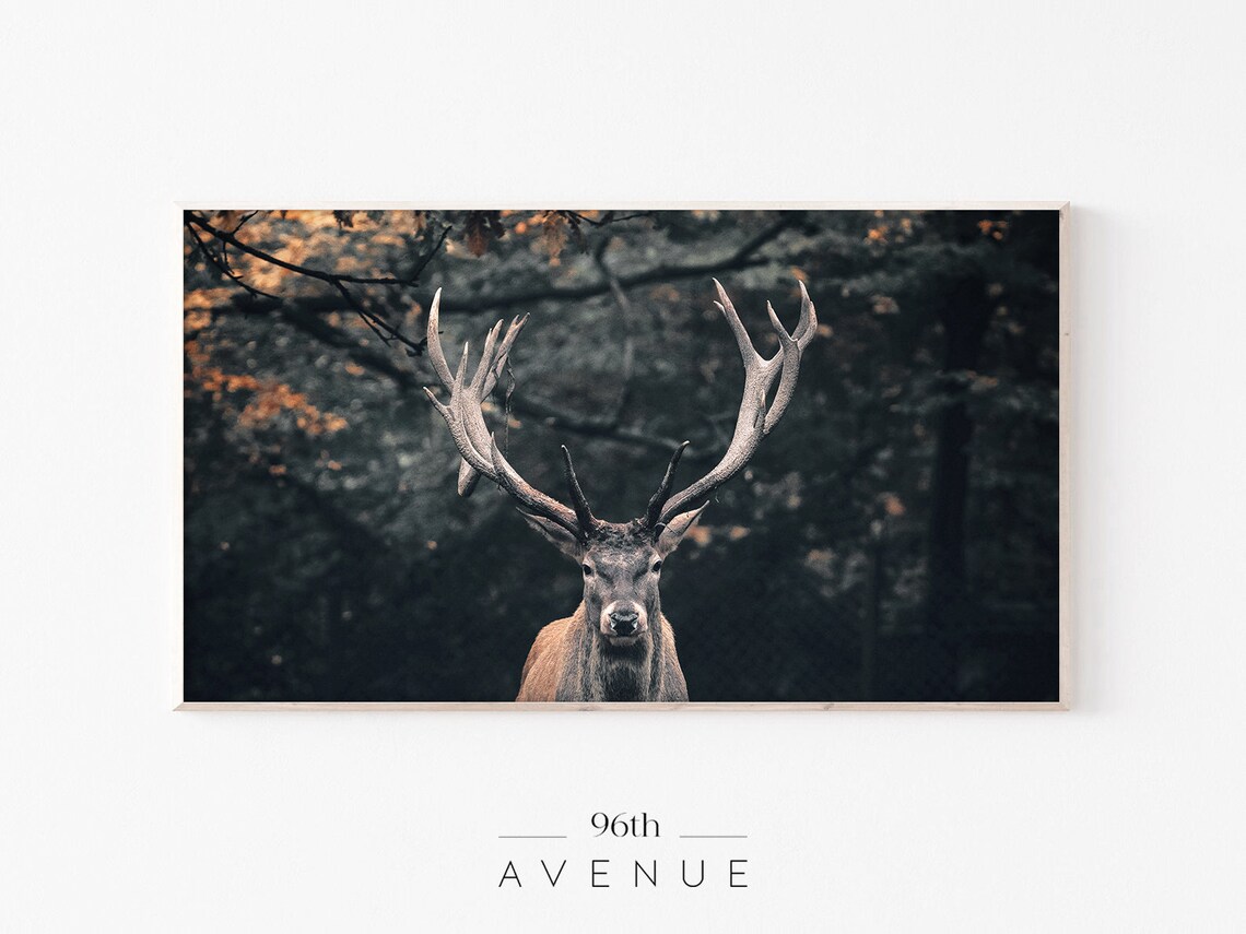 Autumn Forest Reindeer Wildlife Art Print