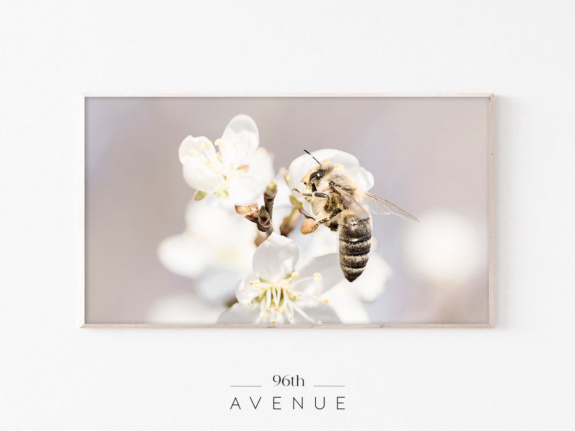 Bee On A Flower, Smart TV Art