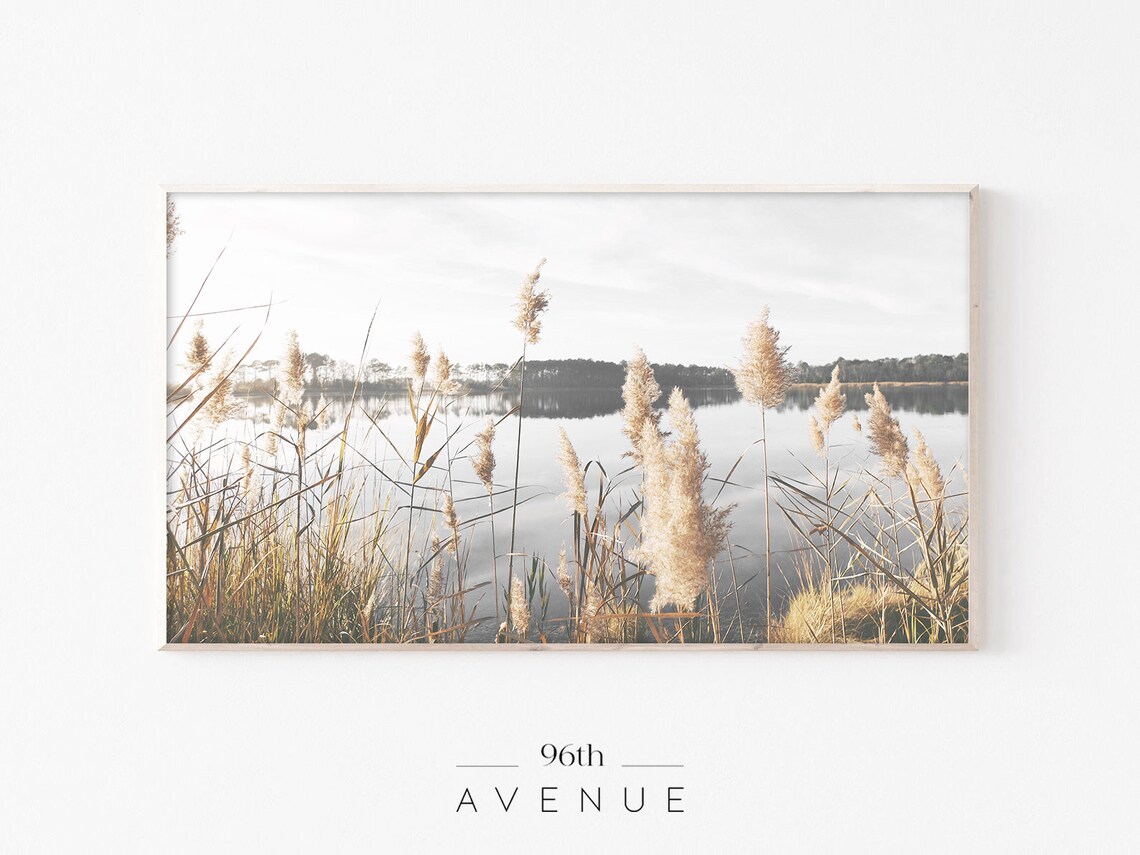 Pampas Grass Modern Farmhouse Art Print