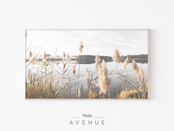 Pampas Grass Modern Farmhouse Art Print
