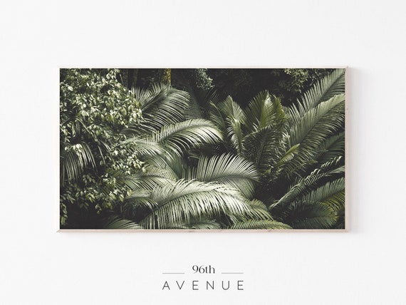 Tropical Palm Leaves Art For TV, Tropical Decor