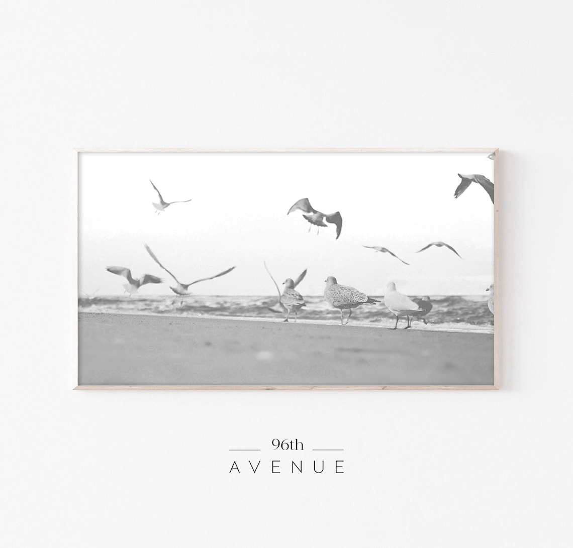 Flock Of Seagulls On A Sandy Beach Black And White Coastal Poster