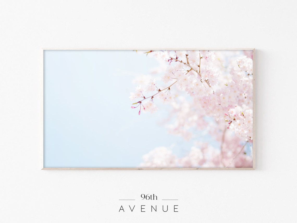 Pink Cherry Blossom Branch Against Pale Blue Spring Sky Photo Poster
