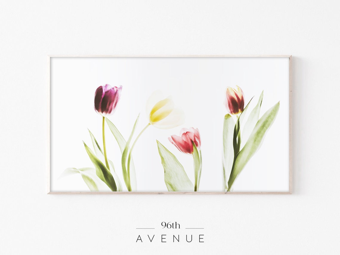 Spring Tulip Flowers Art for TV