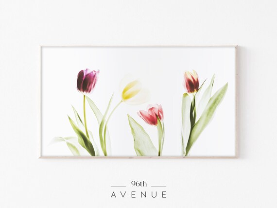 Spring Tulip Flowers Art for TV