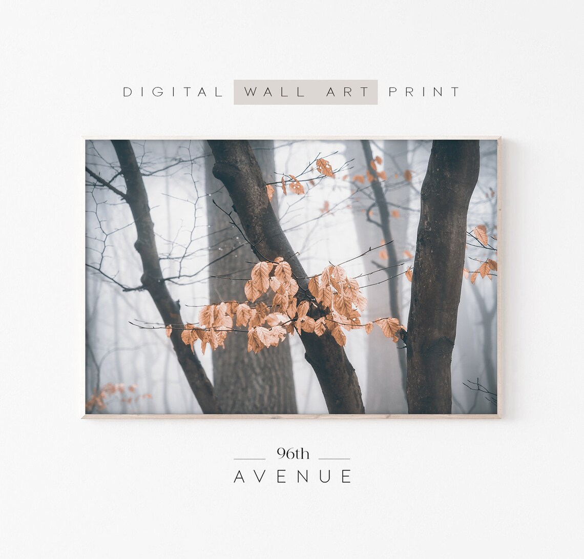 Foggy Forest Art Print, Rustic Fall Decor