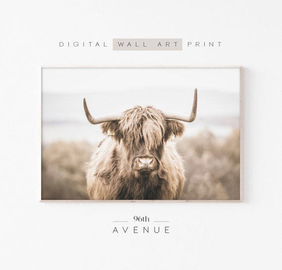 Highland Cow Farmhouse Art Print, Farm Animal Photo