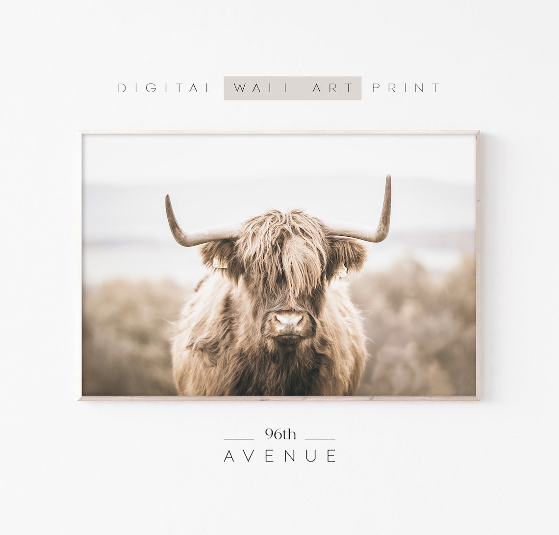 Highland Cow Farmhouse Art Print, Farm Animal Photo