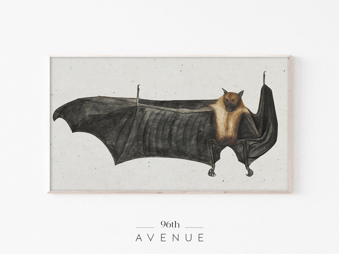 Halloween Bat Antique Drawing, Neutral TV Art