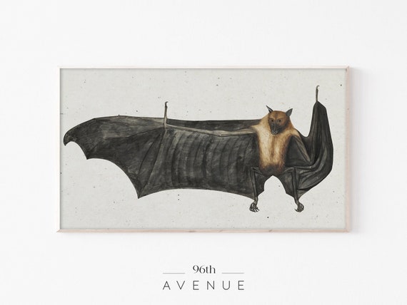 Halloween Bat Antique Drawing, Neutral TV Art