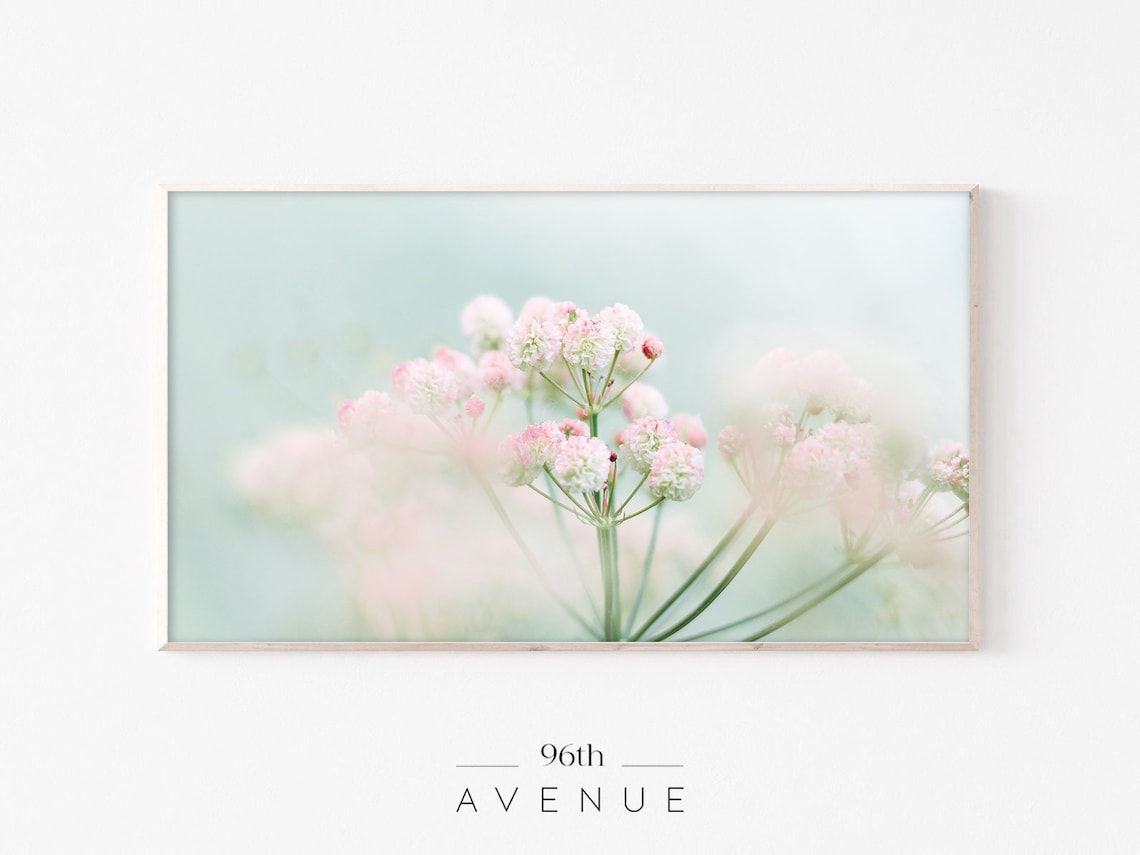 Dreamy Pink Wildflowers Soft Blush Blossoms Macro Floral Poster