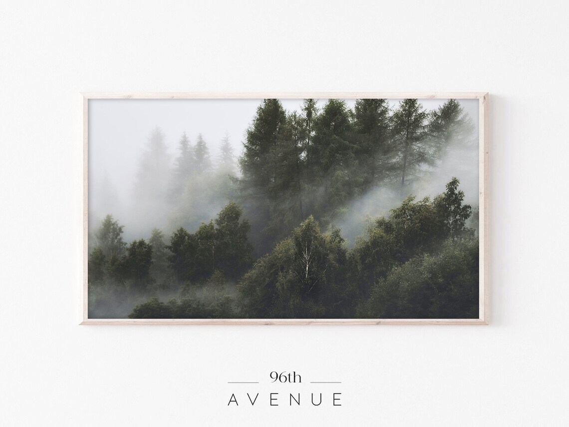 Moody Foggy Forest Mountain With Dark Evergreens Photo Poster