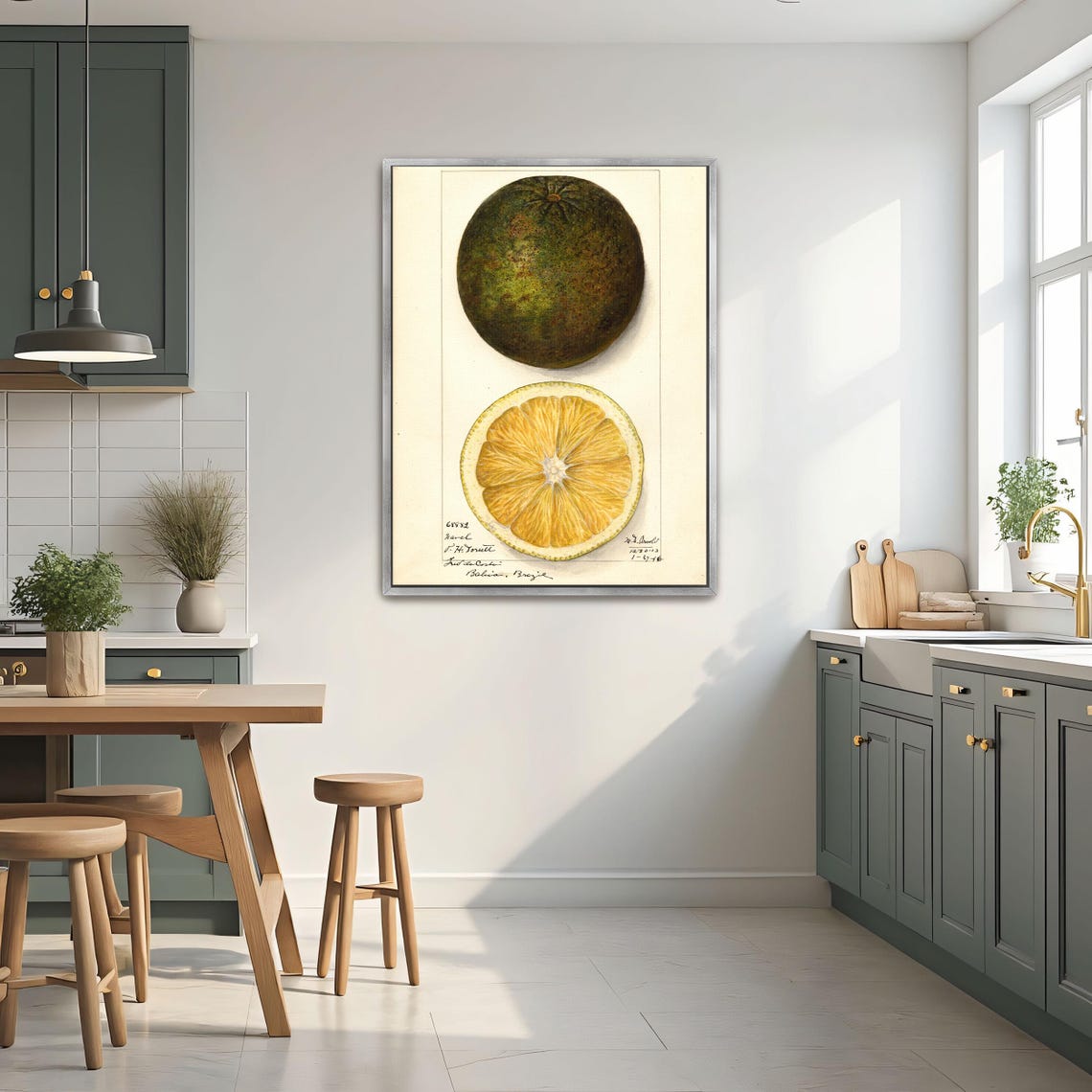 Vintage Pomelo Citrus Botanical Illustration Cross Section Poster