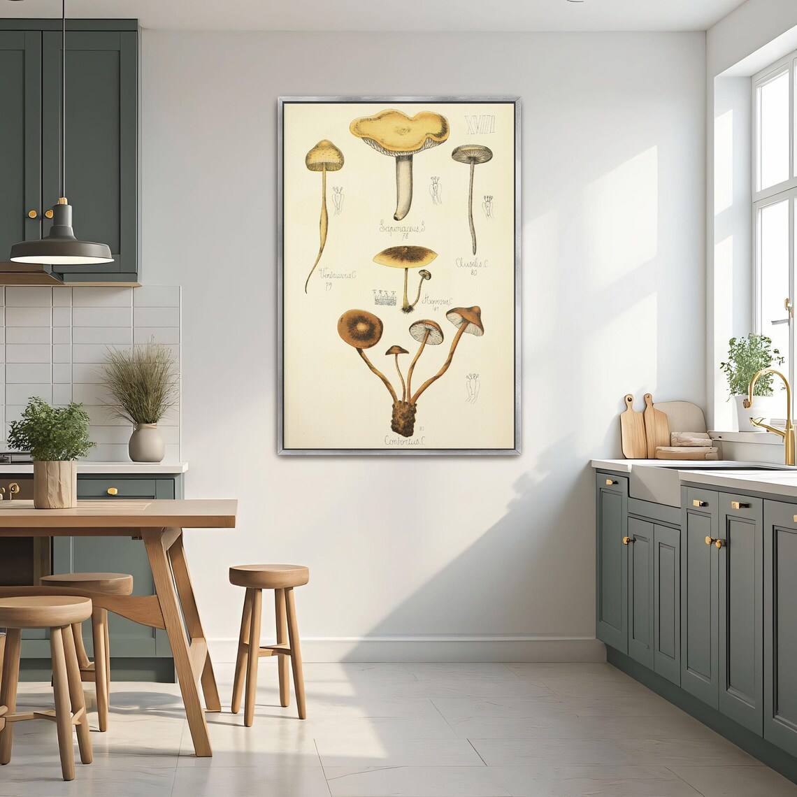 Vintage Mushroom Species Illustration Mycology Plate Art Poster