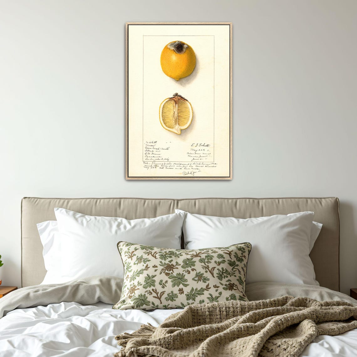 Victorian Lemon Watercolor Study Whole And Halved Fruit Poster - Image 4