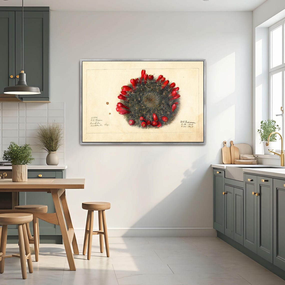 Barrel Cactus with Red Fruits Vintage Botanical Study Poster - Image 2