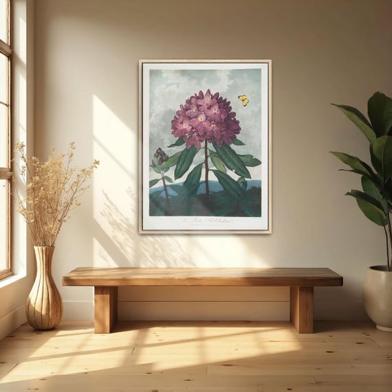 Large Framed Print Of Pink Rhododendron With Insects Botanical Print Pink And Green Kitchen Art Print Contemporary Art