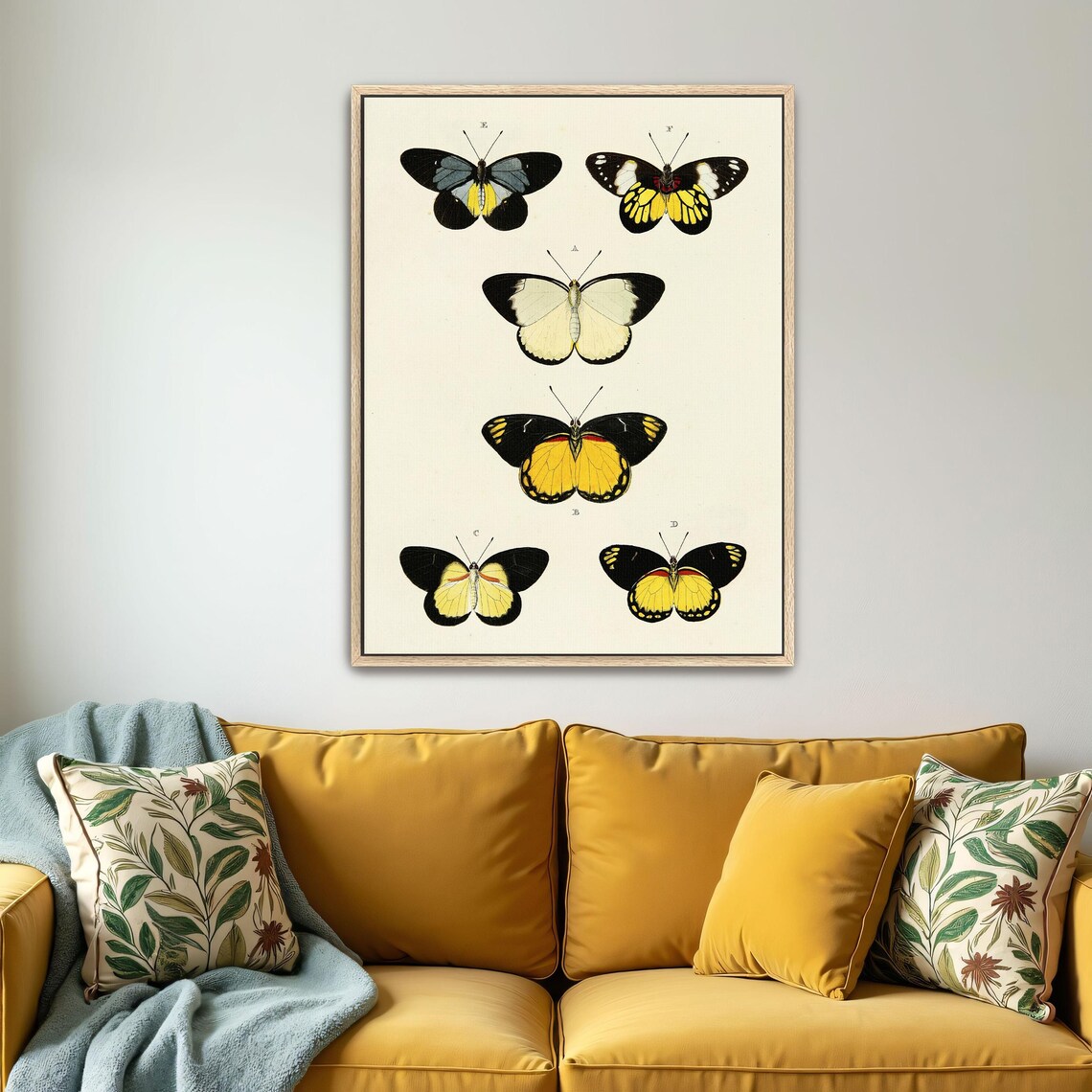 Six Yellow Black and White Butterflies Vintage Entomology Art Poster - Image 5