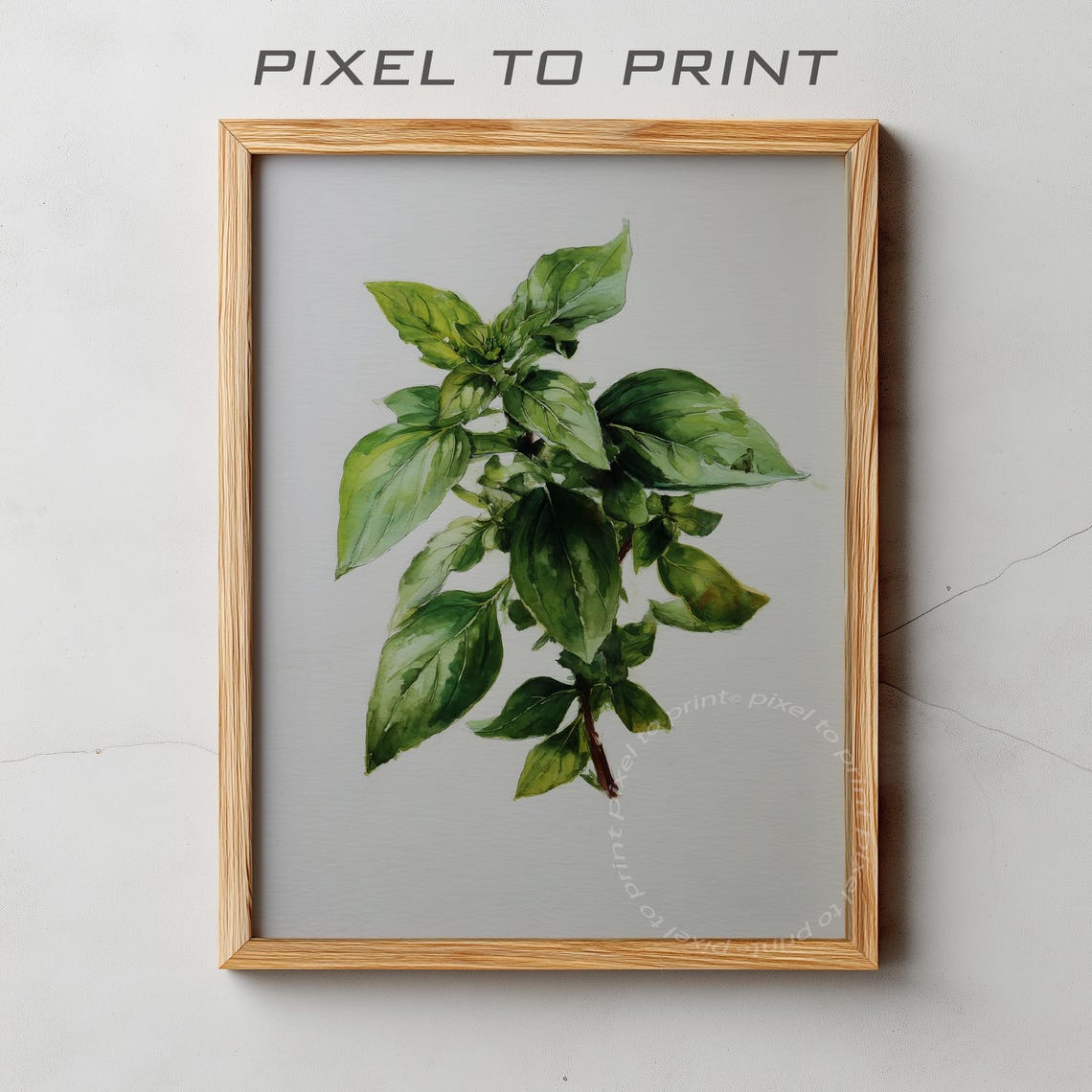 Green Basil Sprig Watercolor Botanical Herb Kitchen Garden Poster