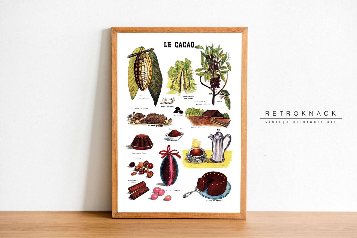 Le Cacao Vintage French Botanical Chart Cocoa Chocolate School Poster - Image 3