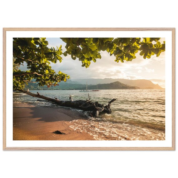 Sunset Beach Driftwood Sailboats Tropical Shore Photo Poster