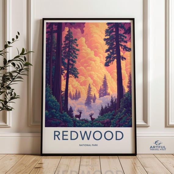 Redwood National Park Wall Art Print Scenic Nature Artwork Wilderness Poster Forest Landscape Decor Colorful Sunset Illustration