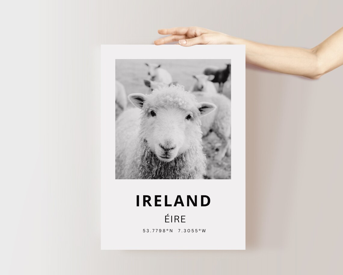 Ireland Sheep Photography Art Print, Dublin Travel Poster - Image 4
