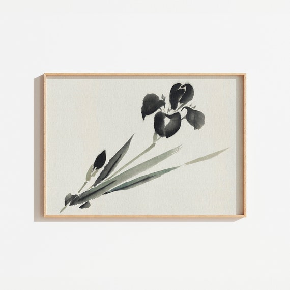 Botanical Print - Vintage Floral Art