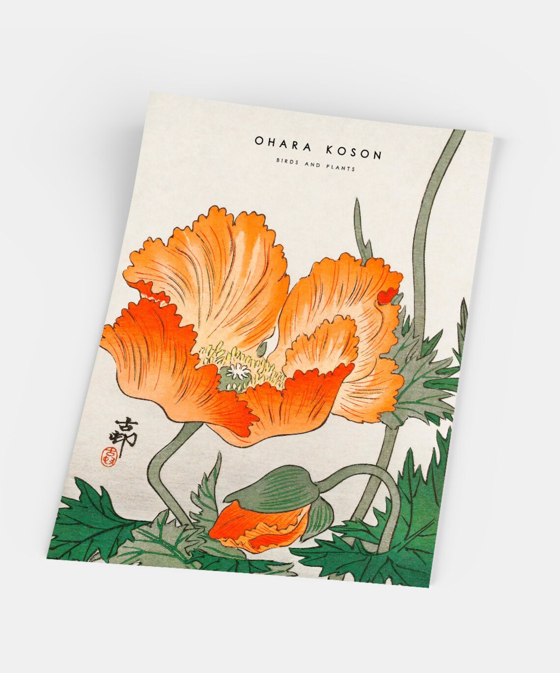 Ohara Koson Japanese Birds and Plants Art Print - Image 5