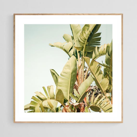 Banana Leaf Print, Tropical Botanical Art Print