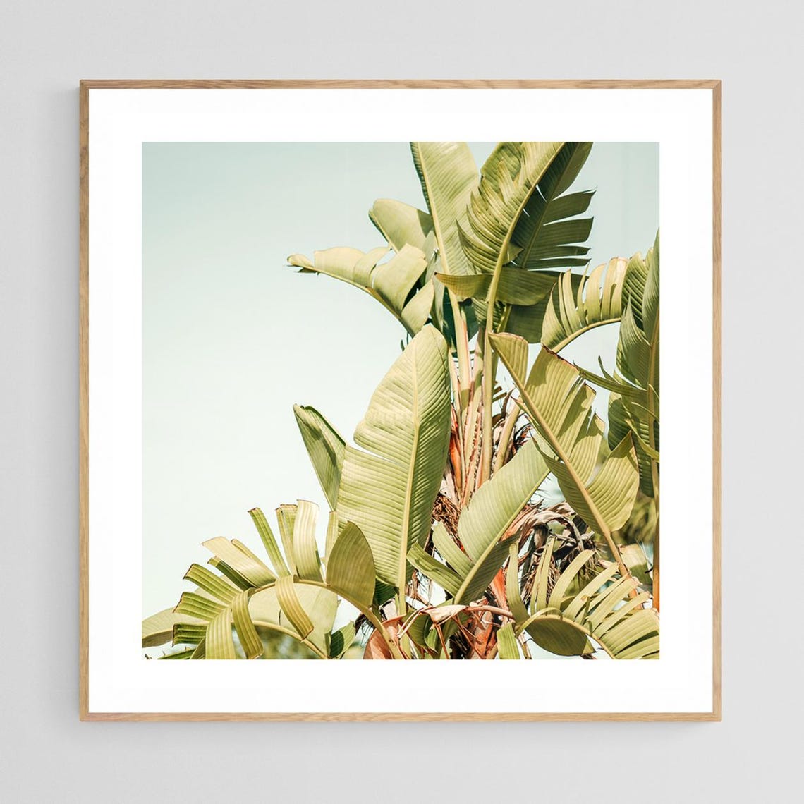 Banana Leaf Print, Tropical Botanical Art Print