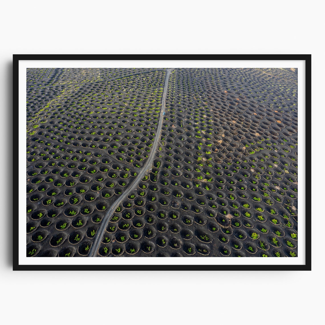 Lanzarote La Geria Vineyard Hollows Aerial Ash Patterns Poster