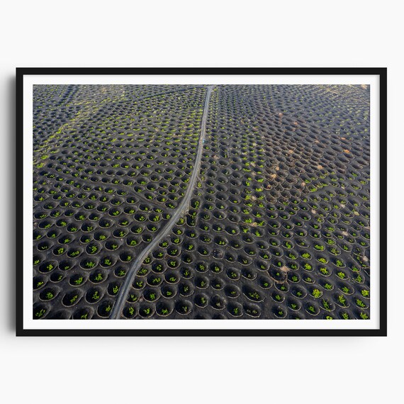 La Geria Vineyards Lanzarote Travel Print Lanzarote Wall Art Lanzarote Poster Spain Print Timanfaya Canary Islands Spain Wall Art