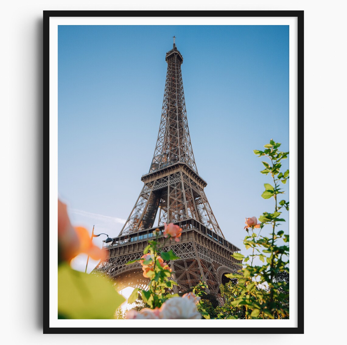 Eiffel Tower Paris Roses Garden Flowers Romantic Landmark Poster