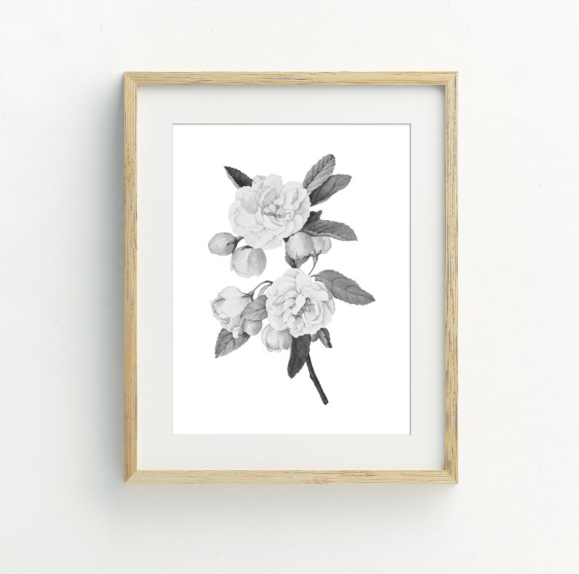 Black and White Rose Art Print, Modern Flower