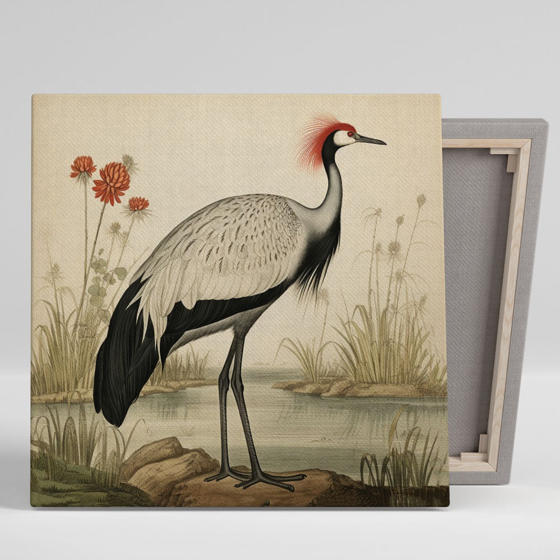 Red Crowned Crane Vintage Naturalist Illustration Wetland Poster