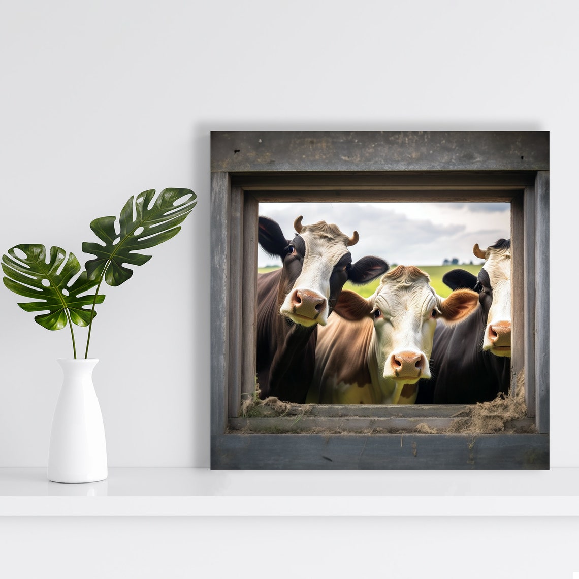 Three Curious Cows Peeking Through Rustic Barn Window Farm Poster - Image 2