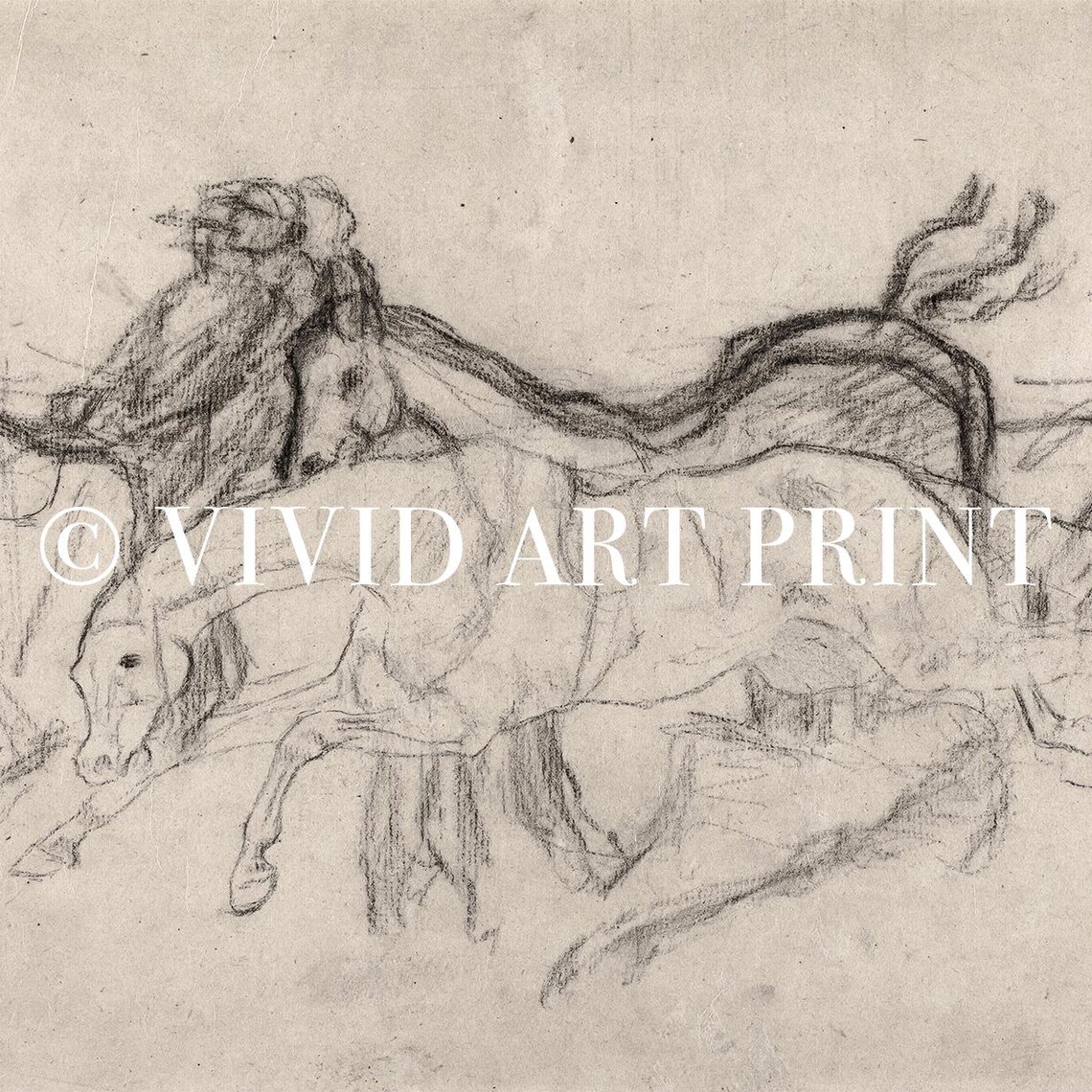 Vintage Racehorses Sketch Art, Classic Equestrian - Image 4