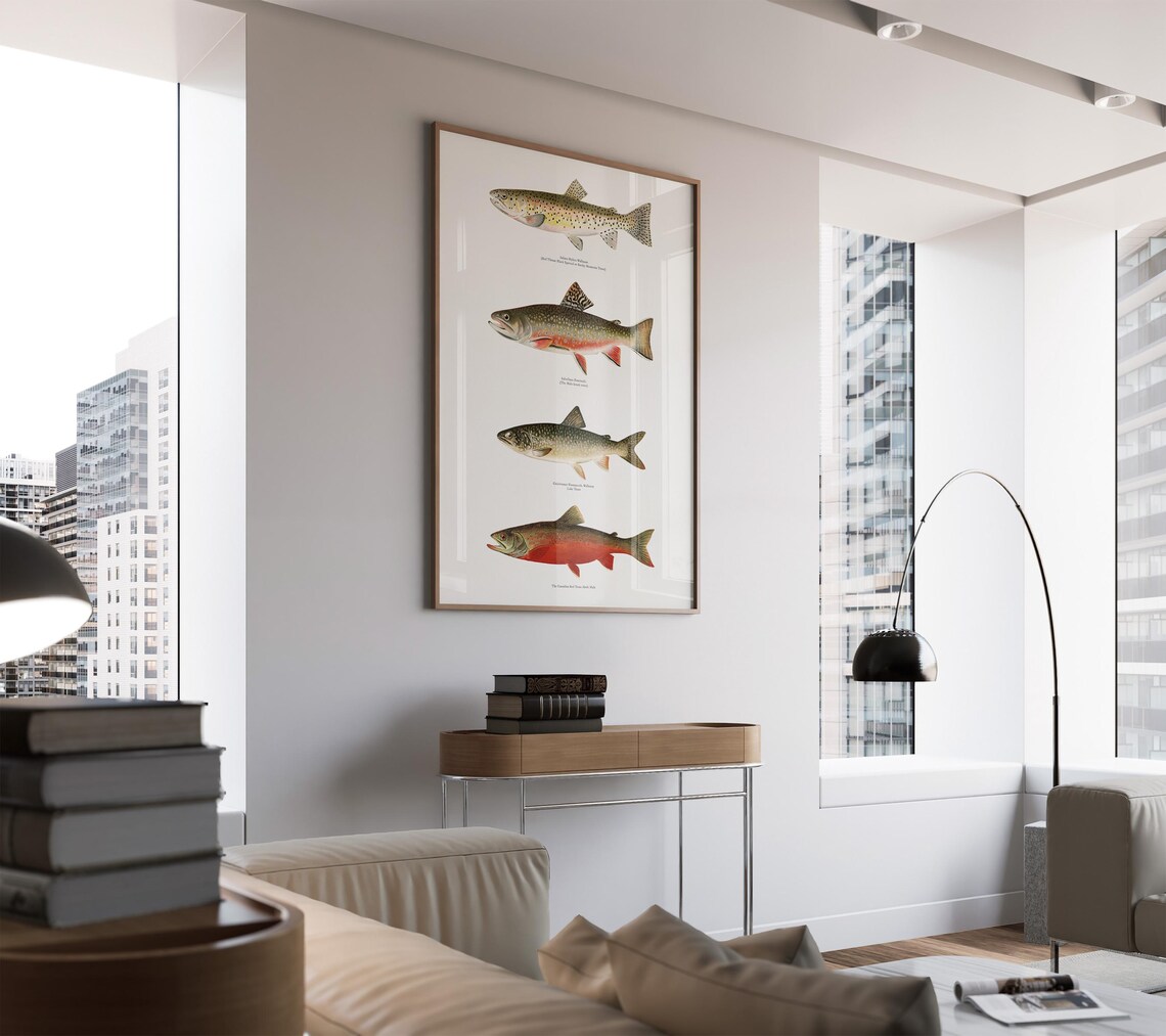 Vintage Trout Fish Collection, Species Illustration - Image 3