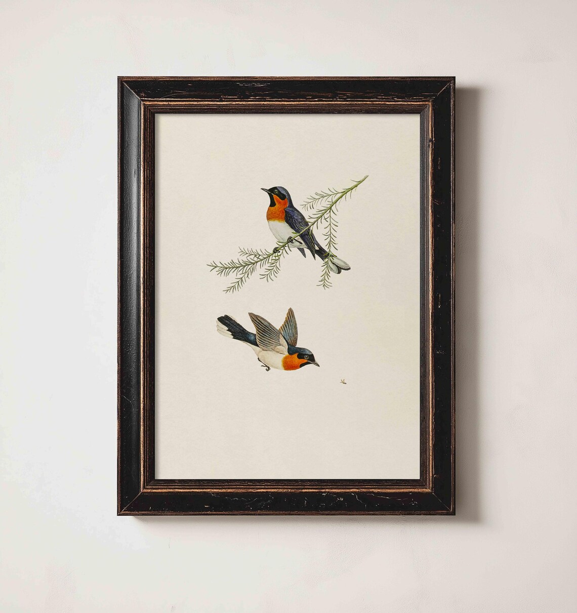Songbird Vintage Bird Illustration, Botanical Farmhouse - Image 2