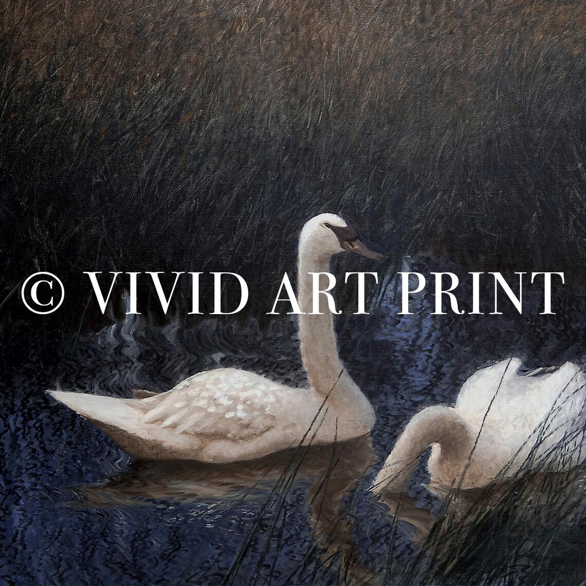 Moody Vintage Swans, Classic Realist Farmhouse Art Print - Image 4