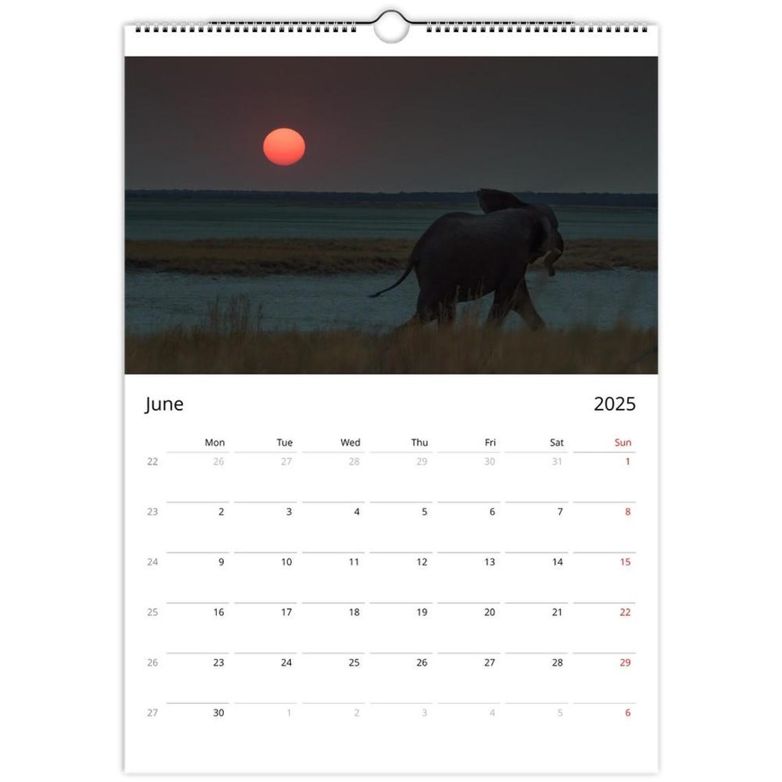Namibia Giraffe Herd Safari Wall Calendar African Photography Print - Image 2